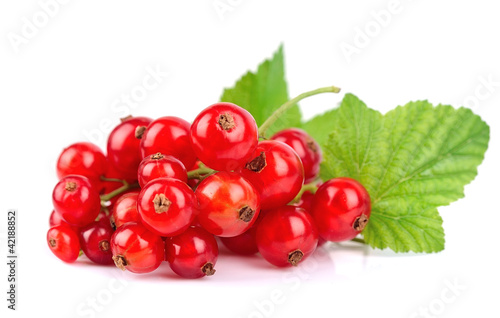 Red currants isolated