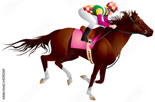 Derby, Equestrian sport horse and rider 4