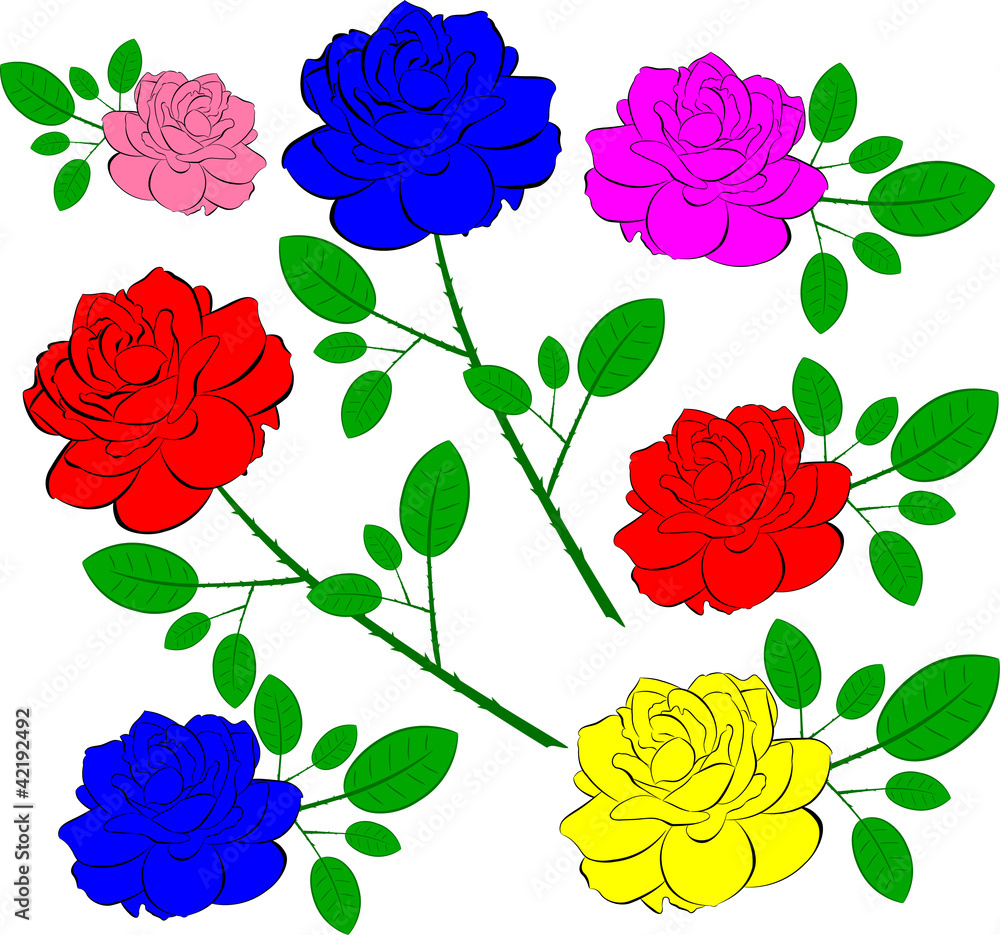 bright rose bright rose