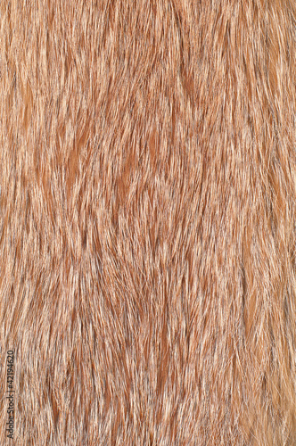 fur
