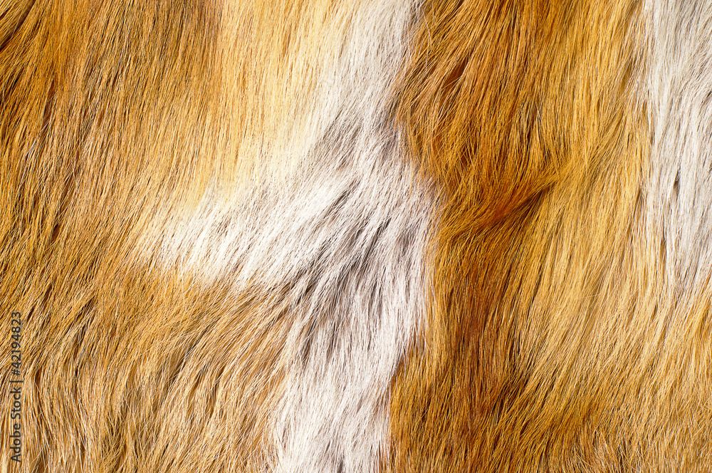 fur