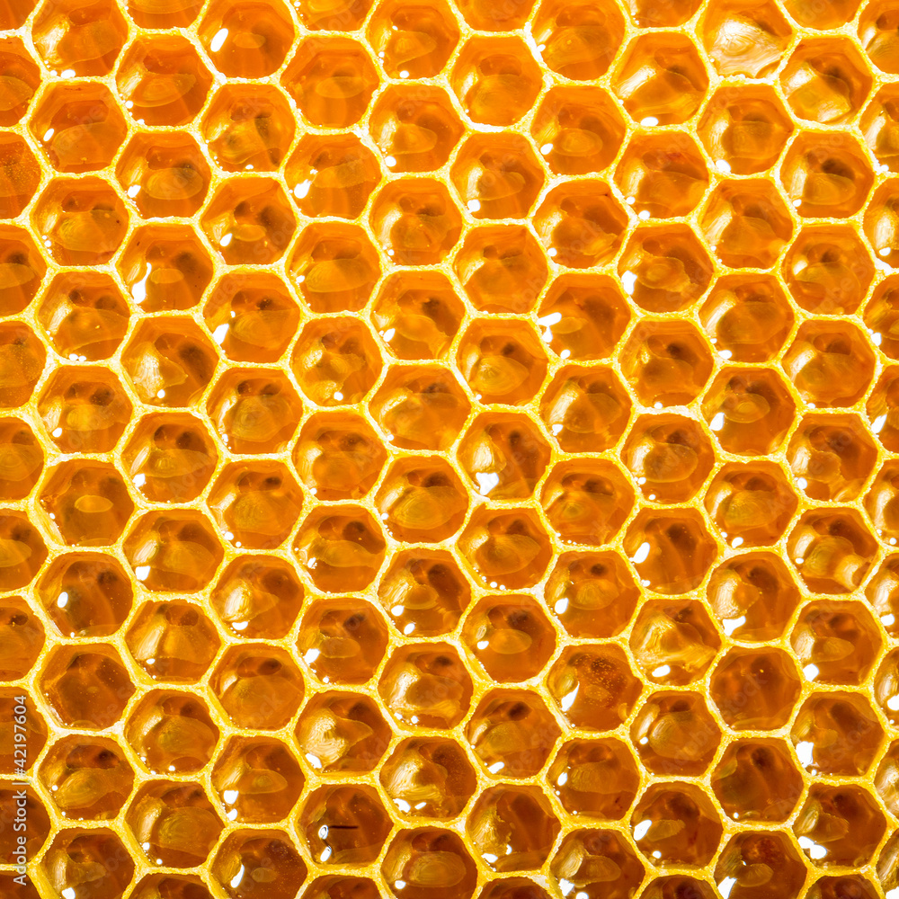 Close up view of honeycells. - obrazy, fototapety, plakaty 