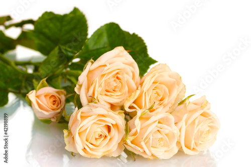 Bouquet of white roses isolated on white