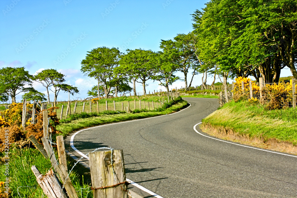 Obraz premium Rural empty road in Springtime
