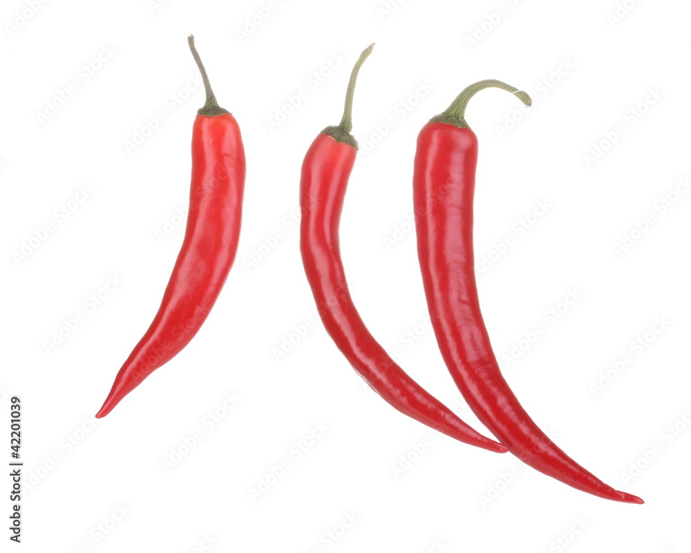 Red hot chili peppers isolated on white Red hot chili peppers isolated on white