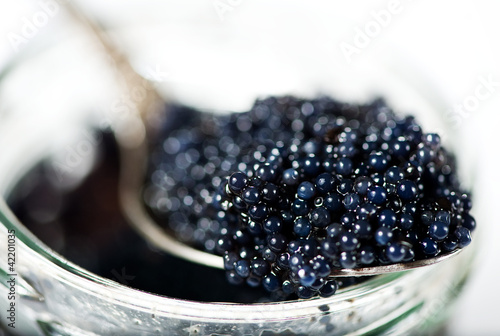 Black caviar photo