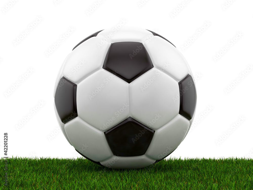 Fototapeta premium soccer ball