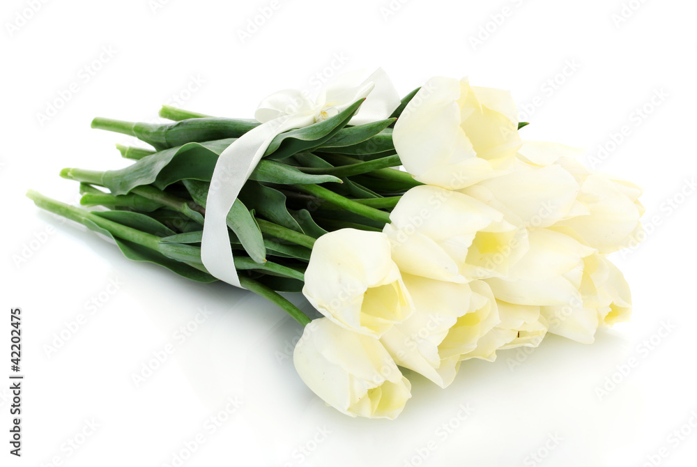 beautiful tulips isolated on white. beautiful tulips isolated on white.
