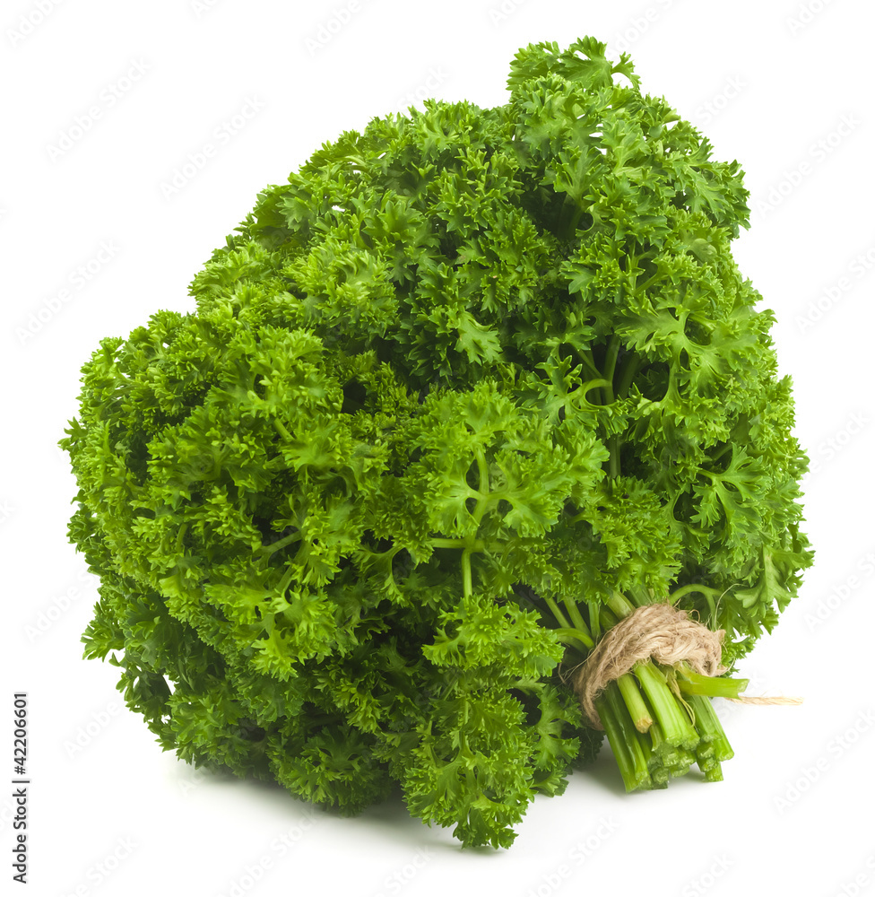 Fototapeta premium Fresh parsley bouquet on pure white background