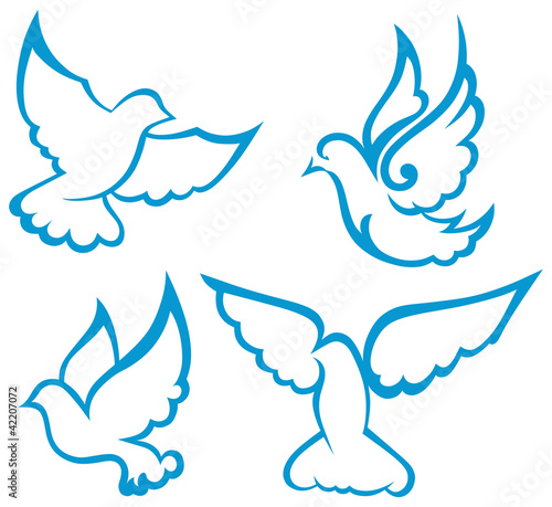 Vector dove symbol