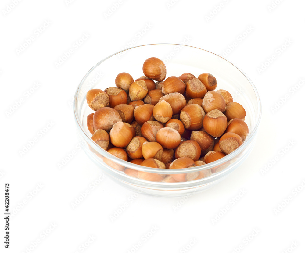 Hazelnuts Isolated on White Background Hazelnuts Isolated on White Background