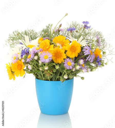 bouquet of wildflowers in flowerpot isolated on white