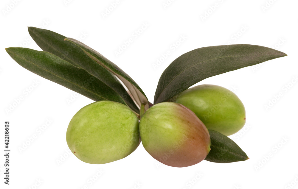Obraz premium Olive