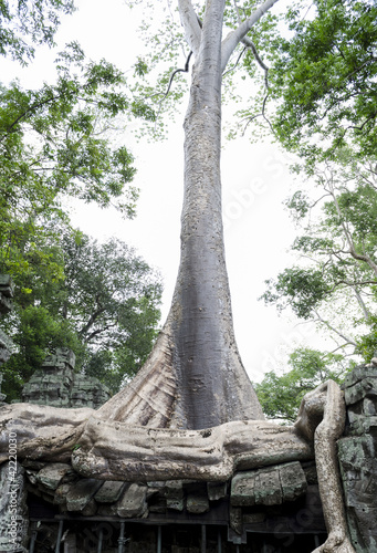 Konstfotografi ta phrom