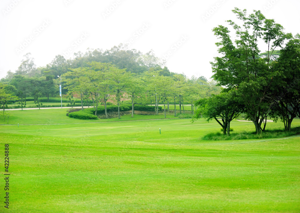 golf course greens