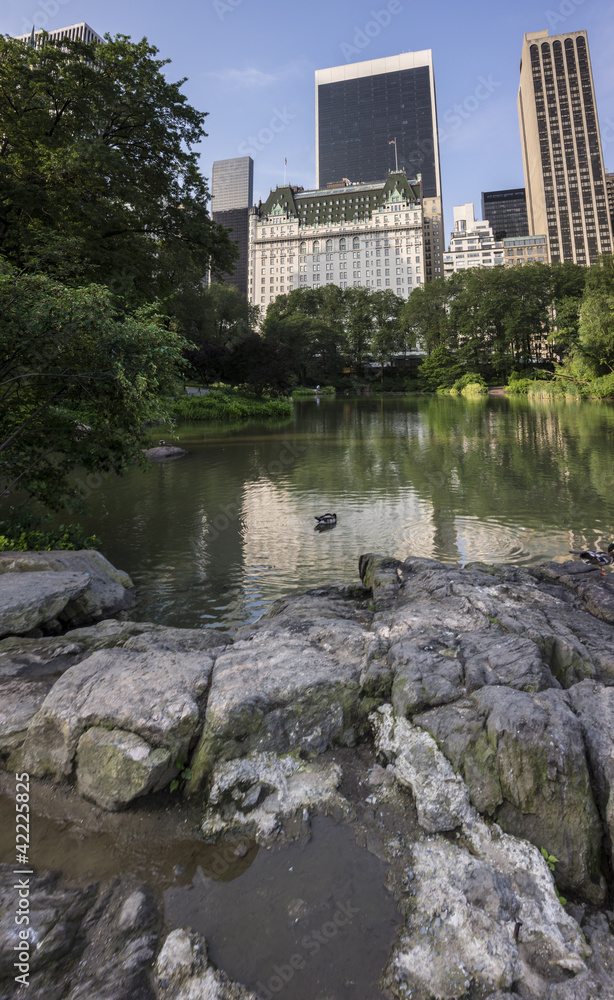 Fototapeta premium Central Park view of plaza