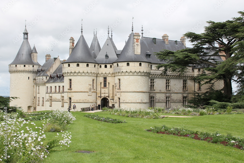 Fototapeta premium Château de Chaumont sur Loire