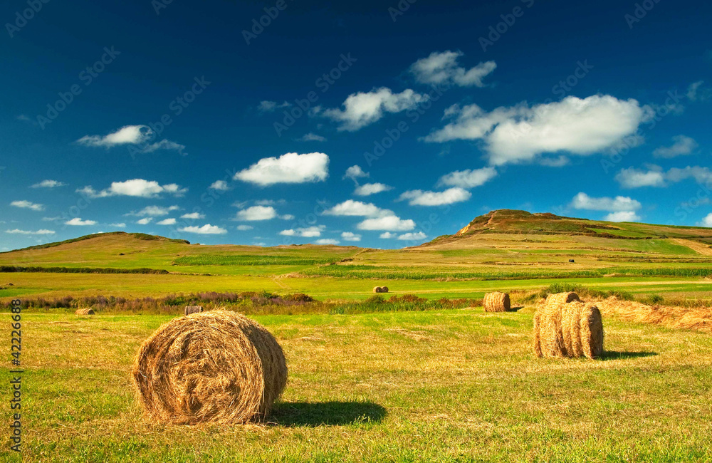 Nice spanish landscape at summer