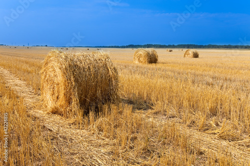 Stacks in the field..