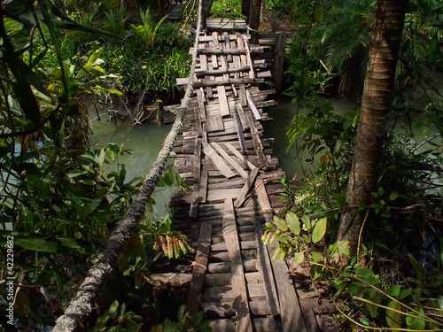 holzsteg im Jungel photo