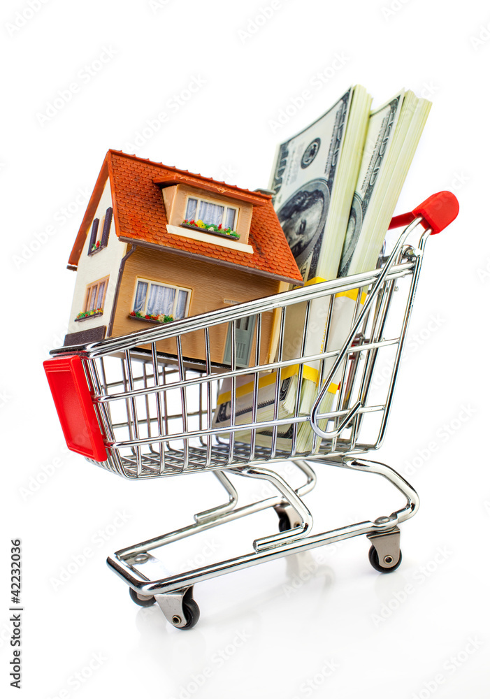 shopping cart and house shopping cart and house