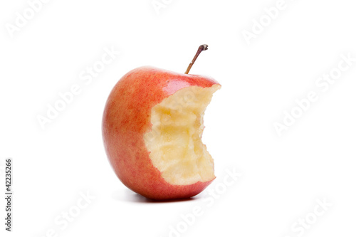 red apple core isolated on a white background photo