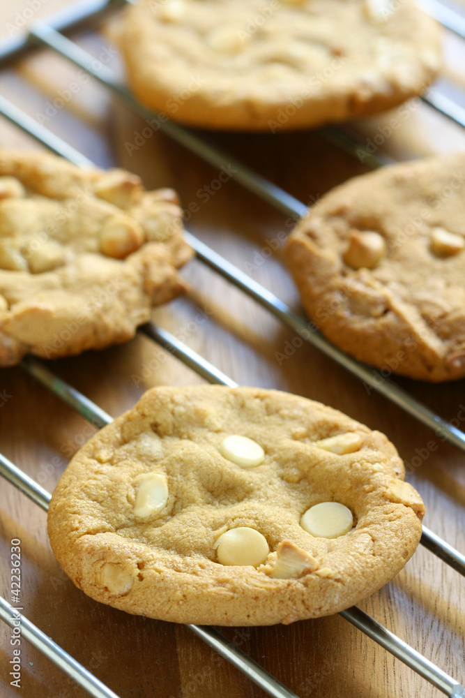 Macadamia Nut Cookies