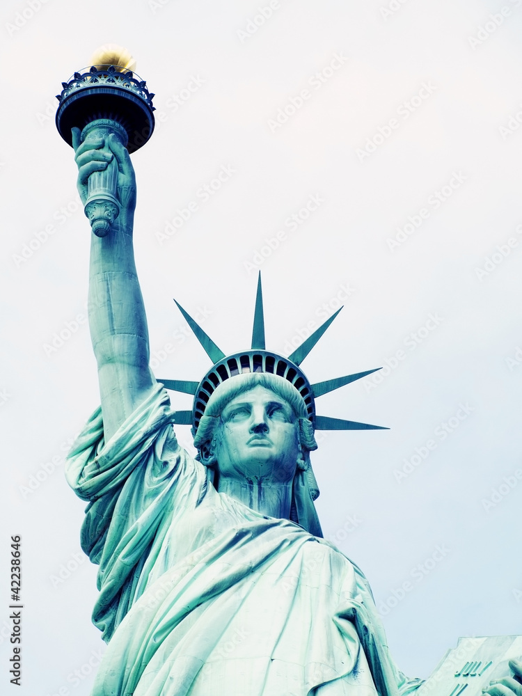 Fototapeta premium The Statue of Liberty