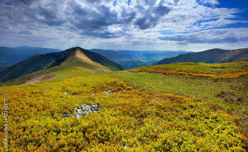 Beautiful summer landscape in the mountains