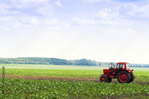 Wallpaper Mural In the field of agricultural machinery available. Torontodigital.ca