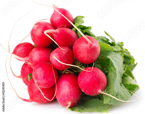 Fresh radish