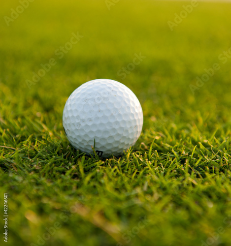 Golf ball on the field close-up b