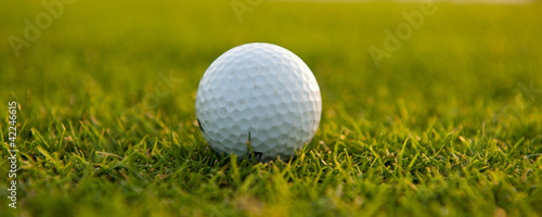 Golf ball on the field close-up horizontal