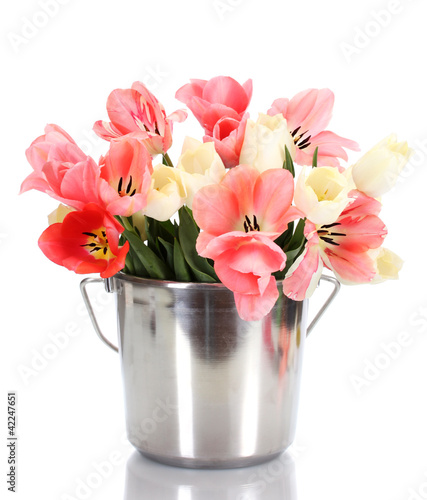 Fototapeta Naklejka Na Ścianę i Meble -  beautiful pink tulips in bucket isolated on white.