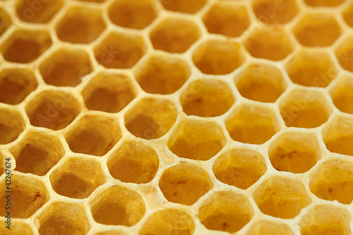 Sweet yellow honeycomb