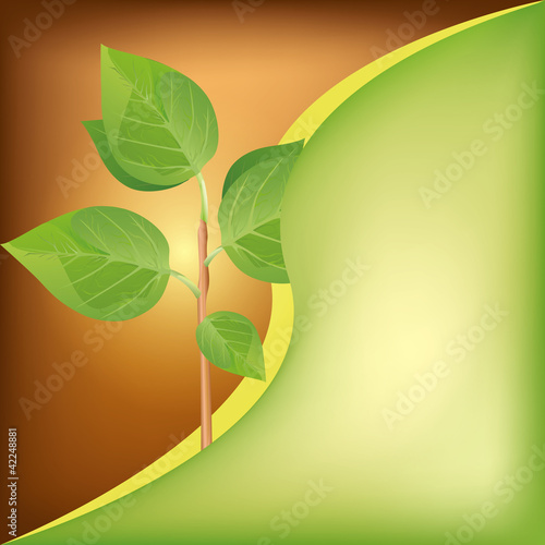 Eco background with fresh green plant
