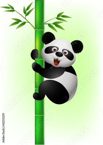 Fototapeta Naklejka Na Ścianę i Meble -  Panda climbing tree