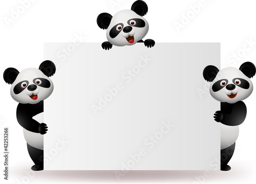 Fototapeta Naklejka Na Ścianę i Meble -  Three pandas with blank sign