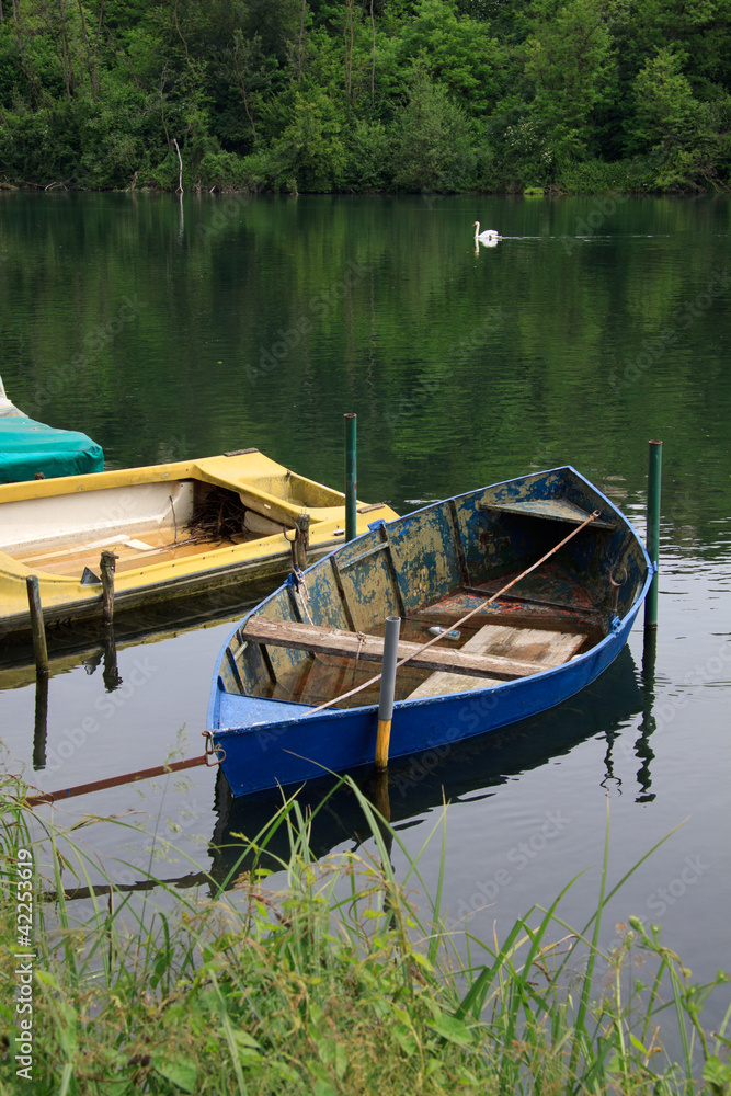 barche sul fiume Adda. Sullo sfondo un cigno reale barche sul fiume Adda. Sullo sfondo un cigno reale