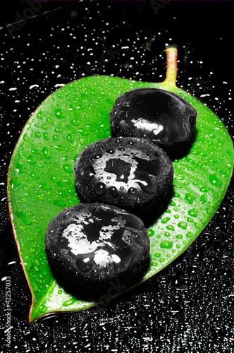Canvas Print Zen stones and green leaf with water drops