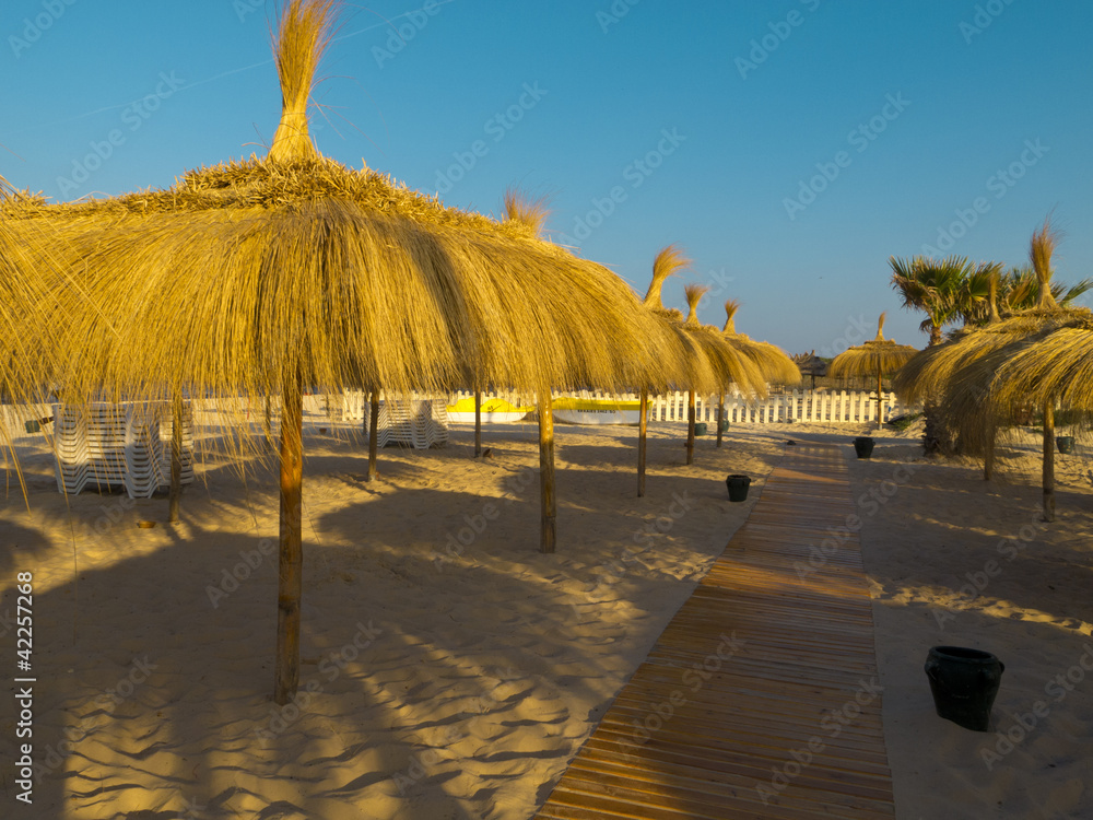 Fototapeta premium Beach of Tunisia
