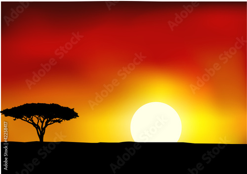 Africa landscape background