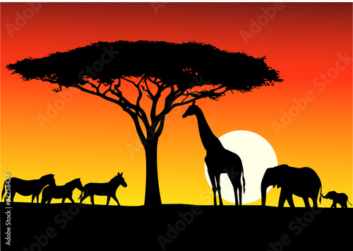 Safari background