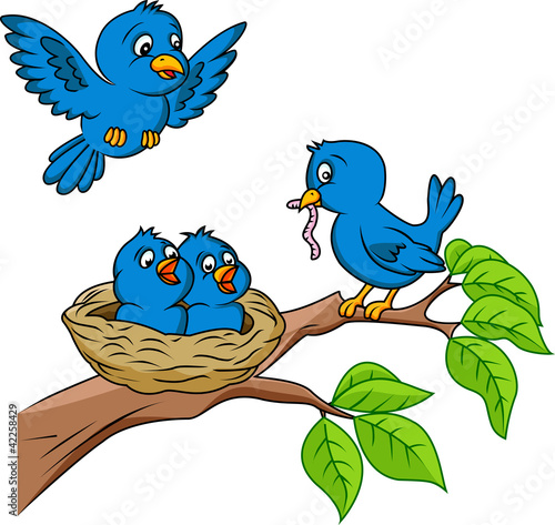 Bird family