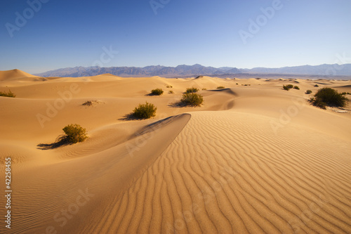 Desert in Death Valley