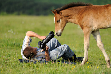 Photographer