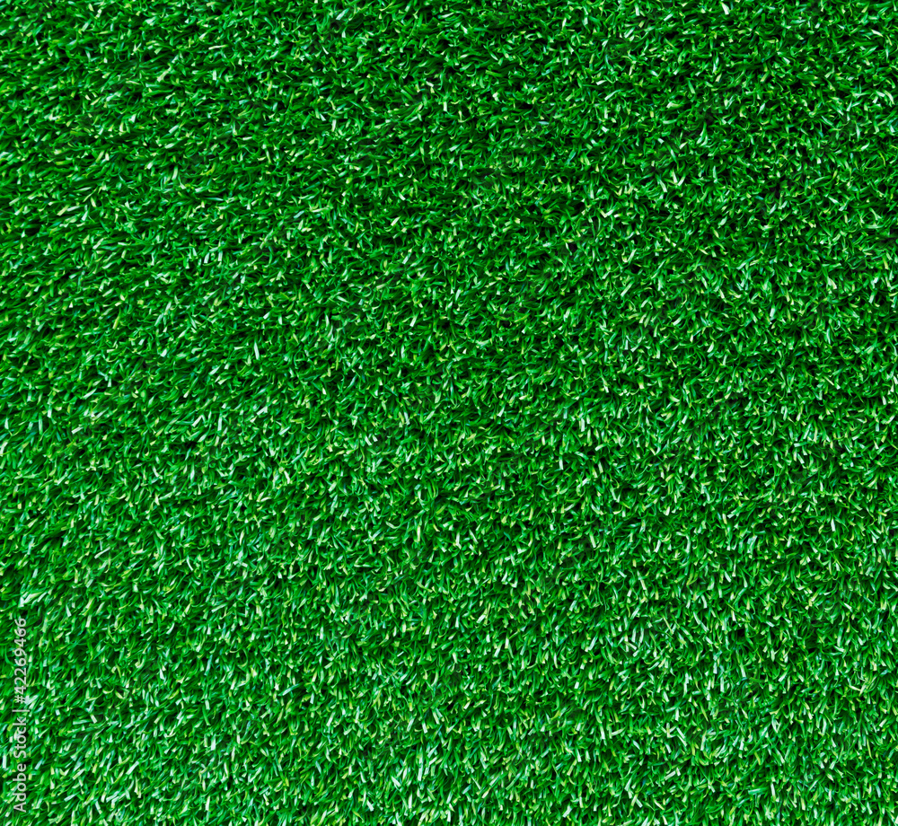 Fototapeta premium Artificial grass texture