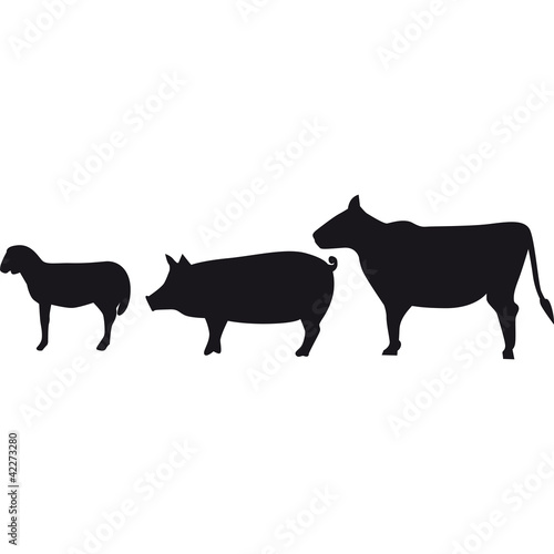 carne