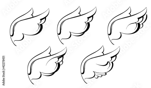 a sketch of the wings black and white graphics