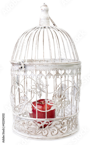 decorative cage with apple